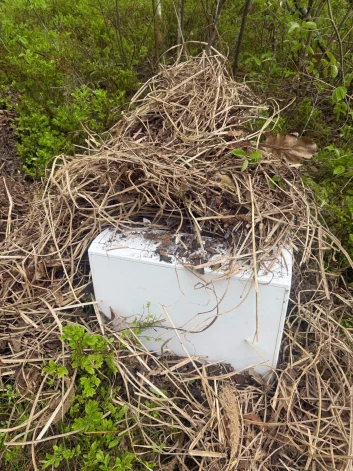 Babītes pagasta Sēbruciemā mežiņā kāds bija noslēpis vecu veļasmašīnu.