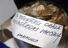 В Латвии прошла операция по борьбе с неизлечимой и крайне опасной для людей болезнью
