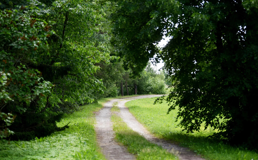 Kopš pagājušā gada rudens meklētā Diāna atrasta bez dzīvības pazīmēm