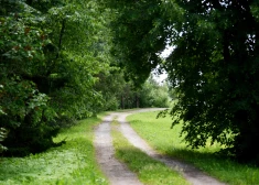 Kopš pagājušā gada rudens meklētā Diāna atrasta bez dzīvības pazīmēm