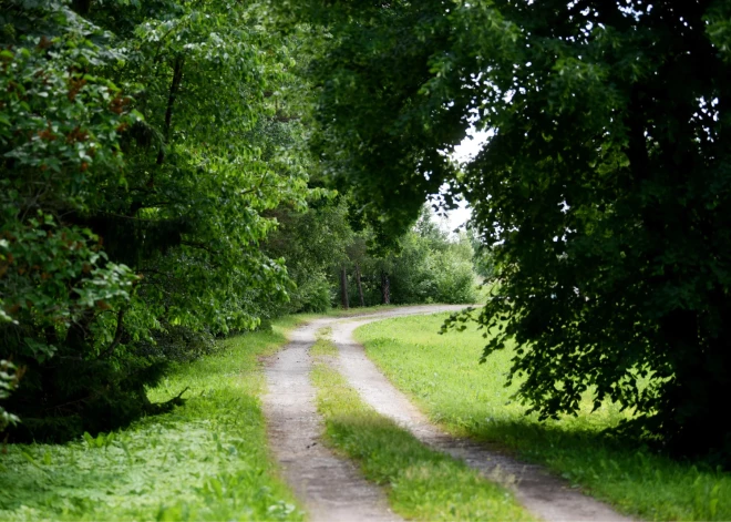 Kopš pagājušā gada rudens meklētā Diāna atrasta bez dzīvības pazīmēm