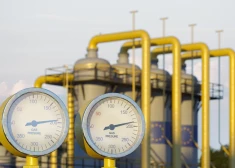 Страна ЕС нашла, чем заменить российский газ, от которого она ранее сильно зависела