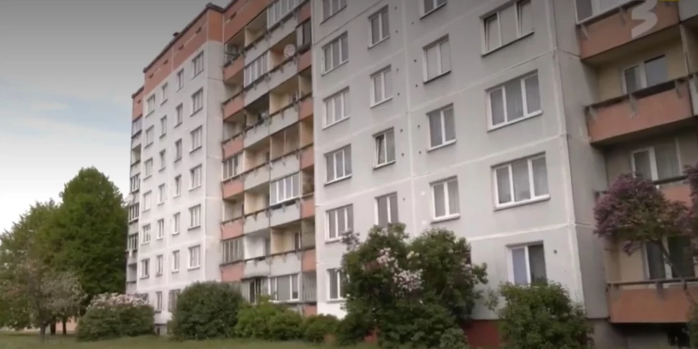 После смерти хозяйки пес остался один в квартире.