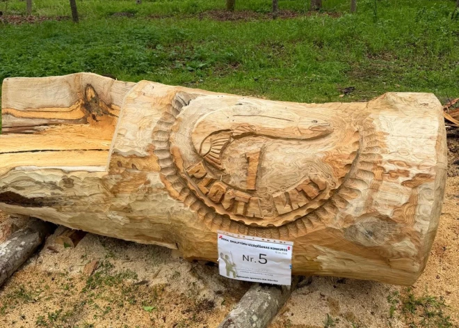 Koka skulptūru parkā Strenčos būs jaunas skulptūras