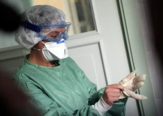 Šosezon gripas izplatība Latvijā bijusi augsta