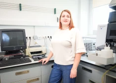 Lolita Neimane: Baidāmies no brūni saceptiem kartupeļiem, jo tajos esošais akrilamīds var veicināt vēža risku