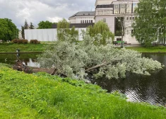 FOTO, VIDEO: Rīgas kanālā iegāzusies vairāk nekā 100 gadus veca apse
