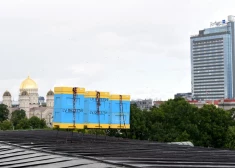 В одной отрасли сельского хозяйства Латвия в десять раз обогнала Эстонию, Чехию и Словакию