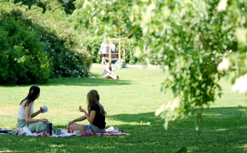 Sestdiena būs vasarīgi silta un saulaina