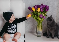 Nedēļa sāksies jaudīgi un beigsies ar pilnmēnesi - horoskops visām zodiaka zīmēm no 25. līdz 31. maijam