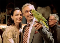 Vainīgs, līdz pierādi pretējo. Seriāla "Portobello" recenzija