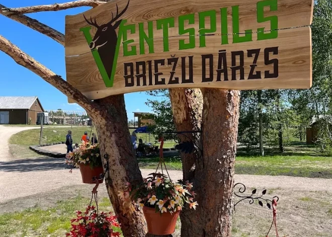 Lai novērstu draudus Ventspilī iemidzināti trīs klaiņojoši suņi