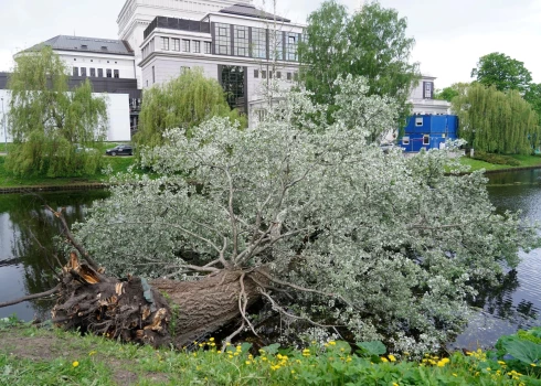 Rīgas kanālā iegāzusies vairāk nekā 100 gadus veca apse.