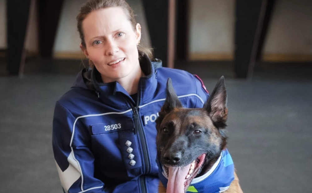 Dzērājšoferis slēpās grāvī un gaidīja, kad aizbrauks policija, bet... sagaidīja suni