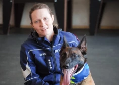 Dzērājšoferis slēpās grāvī un gaidīja, kad aizbrauks policija, bet... sagaidīja suni