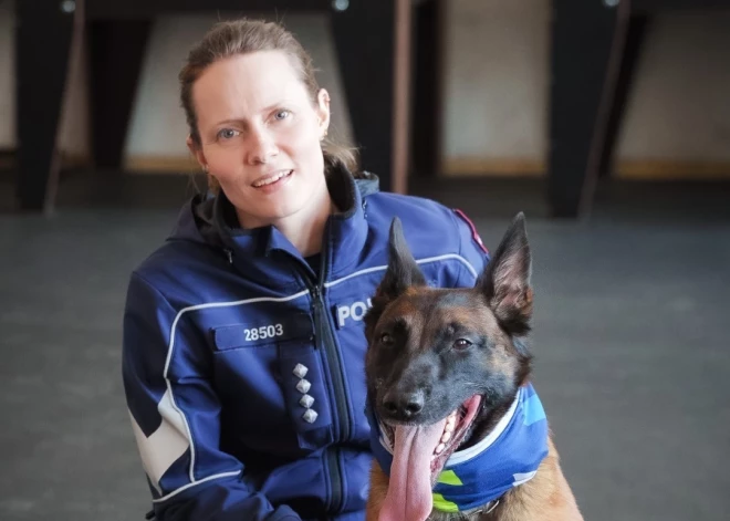 Dzērājšoferis slēpās grāvī un gaidīja, kad aizbrauks policija, bet... sagaidīja suni
