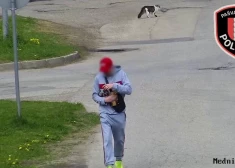 Vientuļa “svinēšana” auto pie Ulbrokas pludmales beidzas ar tiesību zaudēšanu