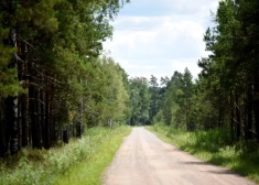 Šogad grants autoceļu atputekļošana izmaksās vairāk nekā 700 000 eiro