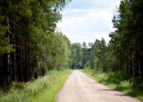 Šogad 440 kilometros grants autoceļu atputekļošana izmaksās vairāk nekā 700 000 eiro. 