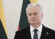 Цена не имеет значения: Литва готова сбивать дроны даже дорогими ракетами