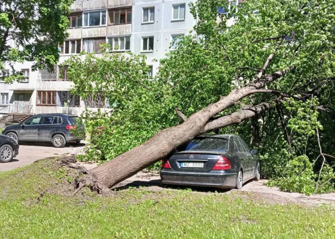 Imantā vējš uzgāzis koku uz automašīnas 