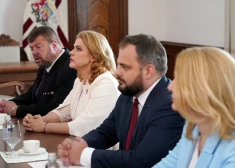 "Jaunajai Vienotībai" jāizraugās premjera kandidāts un jāpierāda, ka grūtajās nozarēs var paveikt vairāk, uzskata politoloģe