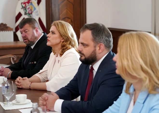 "Jaunajai Vienotībai" jāizraugās premjera kandidāts un jāpierāda, ka grūtajās nozarēs var paveikt vairāk, uzskata politoloģe