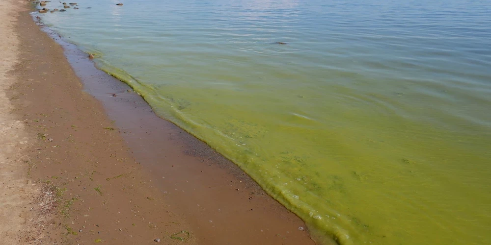 Балтийское море - одно из самых грязных во всем мире.