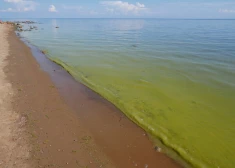 Балтийскому морю бросили спасательный круг. Не поздно ли?