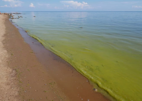 Балтийское море - одно из самых грязных во всем мире.
