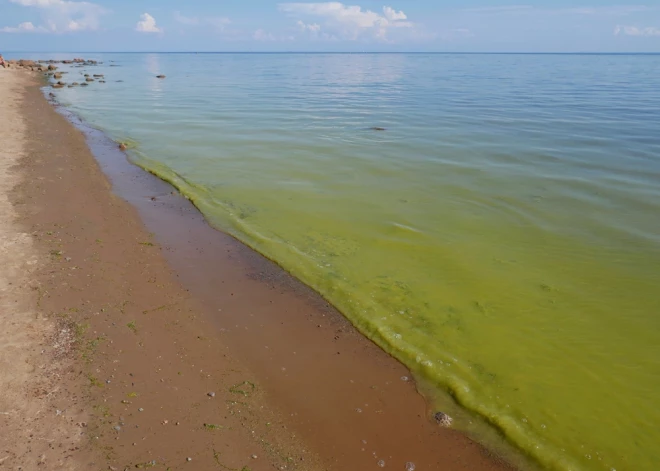 Балтийскому морю бросили спасательный круг. Не поздно ли?