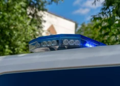 Rīgas centrā atklājas šokējoša aina: 11 gadus vecu meiteni atrod vienu antisanitārā dzīvoklī ar vairākiem dzīvniekiem