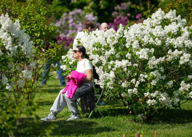 19 gadus ilgs pētījums atklāj negaidītu patiesību par sēdošu dzīvesveidu