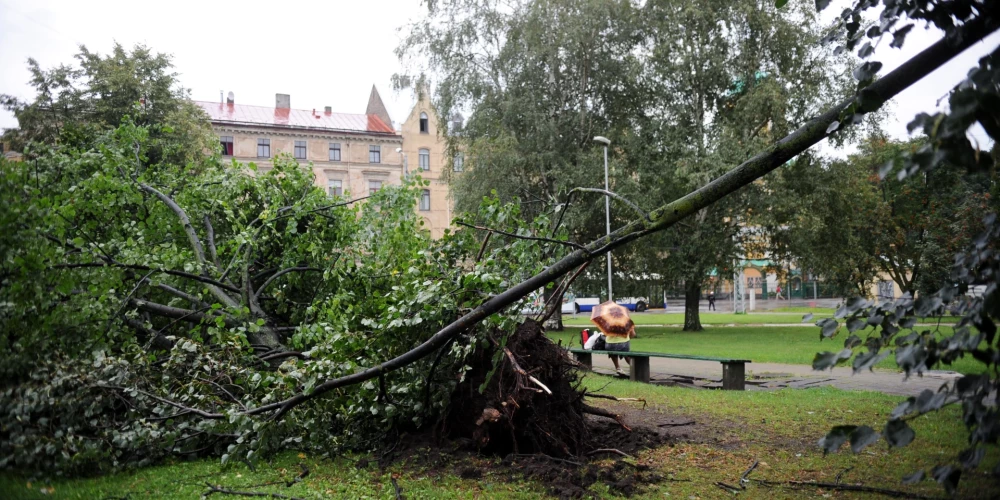 Spēcīga vēja postījumu dēļ ceturtdien saņemti 39 izsaukumi. 