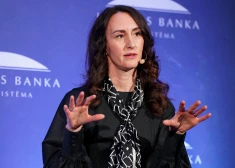 "Латвийцам не нужно ни под кого подстраиваться" - омбудсмен жестко высказалась о приезжих