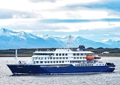 Петерис Апинис объяснил, можно ли в Латвии заразиться смертельно опасным хантавирусом