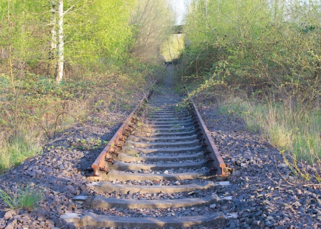 В Беларуси начали демонтировать ведущие в сторону Литвы железнодорожные пути