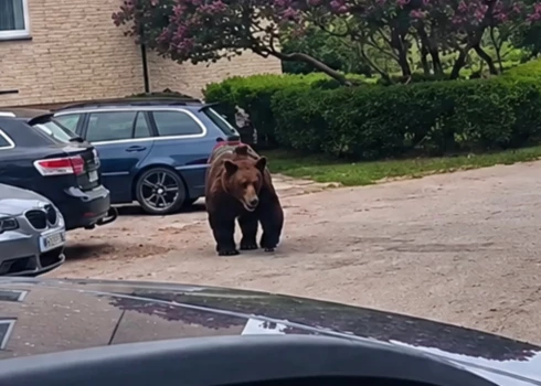 Ekrānuzņēmums no video