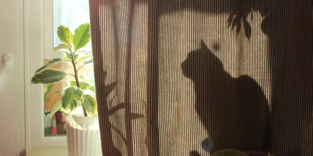 Aizkari nosaka, cik daudz gaismas ienāk telpā, cik ātri tā uzsilst un pat to, cik “klusa” šķiet vide.
