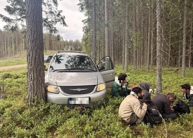 Latgalē aizturēti pieci nelegālo migrantu pārvadātāji; viens auto bēgot ietriecies kokā