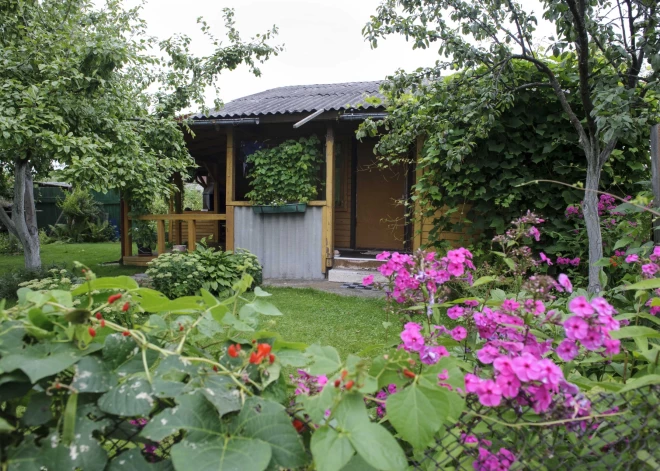 Kā saimniekot zaļā dārzā? Kas jāzina, ja gribi sākt iekopt savu mazdārziņu