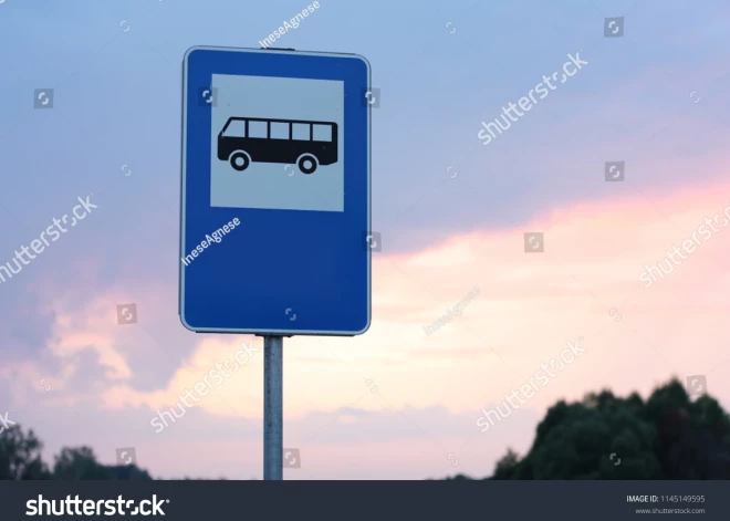 Alūksnes novadā līdz 19. jūnijam saglabās skolēnu pārvadājumiem nepieciešamos autobusu reisus eksāmenu laikā