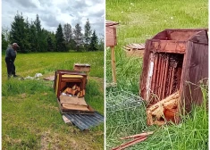 Valmieras novadā paviesojies lācis, iznīcinot kādas saimniecības bišu stropu. FOTO