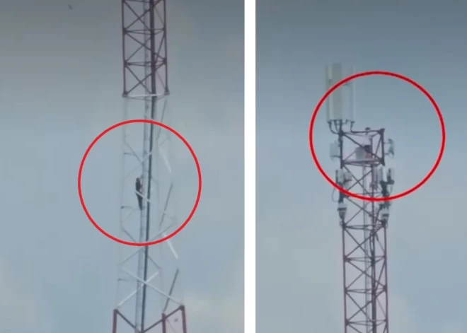 Опасное селфи на высоте 50 метров: подростки забрались на вышку связи в Баложи