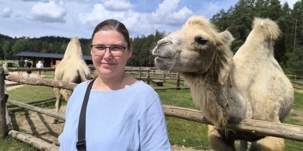 "Var teikt, ka uzaugu zem vecmammas Elzas šūšanas galda lupatu maisā. Tur arī ap četru vai piecu gadu vecumu sākās mana aizraušanās ar adīšanu," saka Ilze.