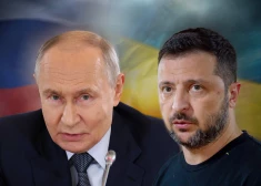 Лидеры обмениваются колкостями: Зеленский описал отказ Путина от встречи двумя словами
