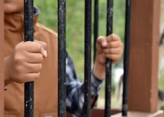 Швеция оказалась в безвыходной ситуации и готовится сажать детей за решетку