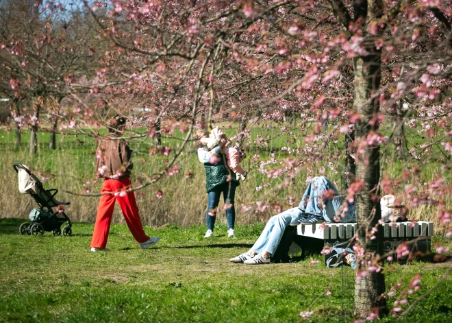 Atklāts, kāda vecuma cilvēku Latvijā ir visvairāk
