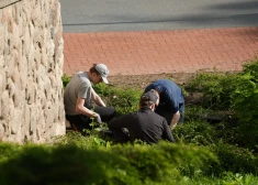 Pirmie 60 jaunieši uzsākuši vasaras darbu Valmieras novada pašvaldības iestādēs
