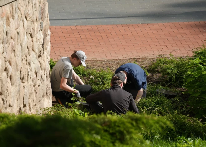 Pirmie 60 jaunieši uzsākuši vasaras darbu Valmieras novada pašvaldības iestādēs
